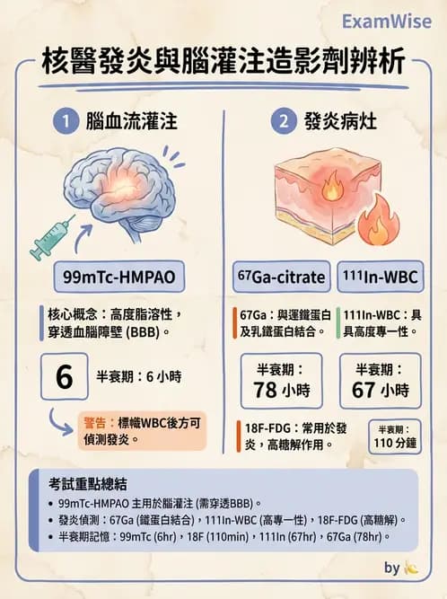 放射 - 骨骼與發炎造影SPECT藥物 - AI 圖文解析預覽