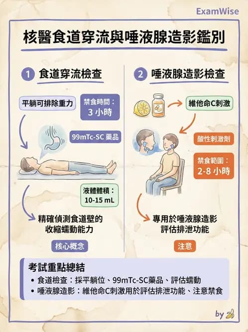 放射 - 消化道造影 - AI 圖文解析預覽