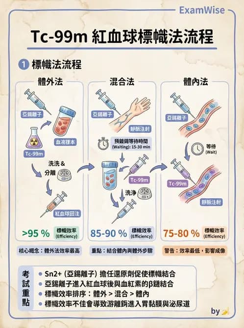 放射 - 肺肝膽與製劑通則 - AI 圖文解析預覽