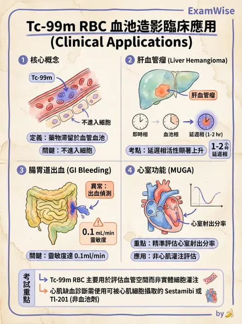 放射 - 消化道造影 - AI 圖文解析預覽