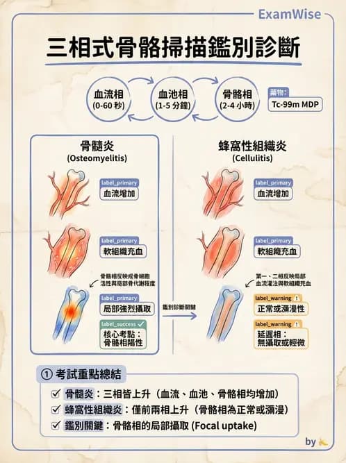 放射 - 骨骼造影 - AI 圖文解析預覽