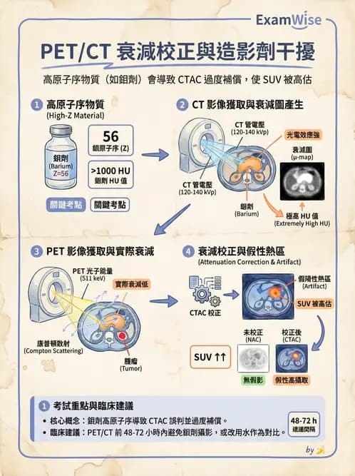 放射 - PET定量及其他 - AI 圖文解析預覽