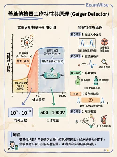 放射 - 充氣式偵測器 - AI 圖文解析預覽