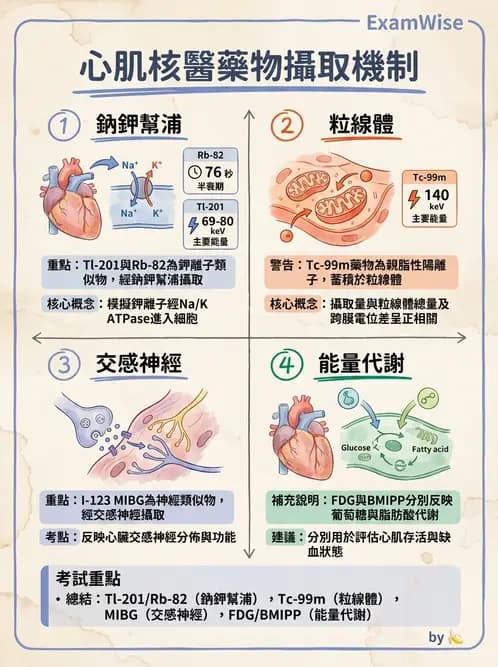 放射 - 心肌造影SPECT藥物 - AI 圖文解析預覽
