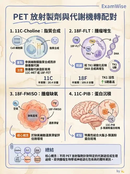 放射 - 腫瘤PET藥物 - AI 圖文解析預覽