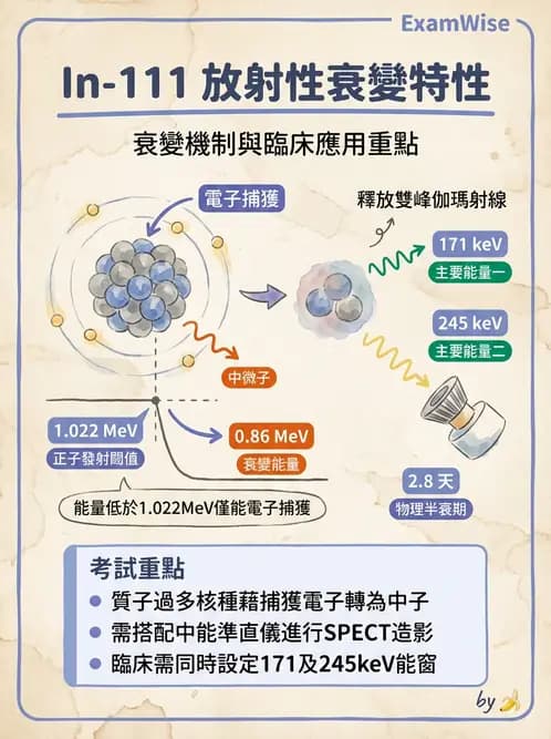 放射 - 蛻變類型與計算 - AI 圖文解析預覽