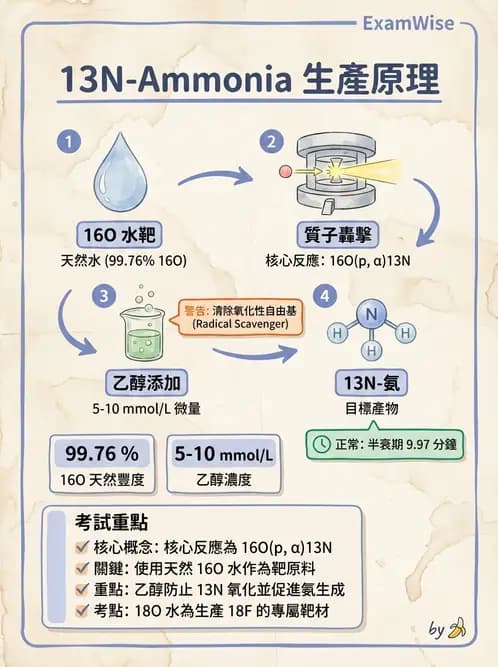 放射 - PET藥物基礎與心臟造影 - AI 圖文解析預覽