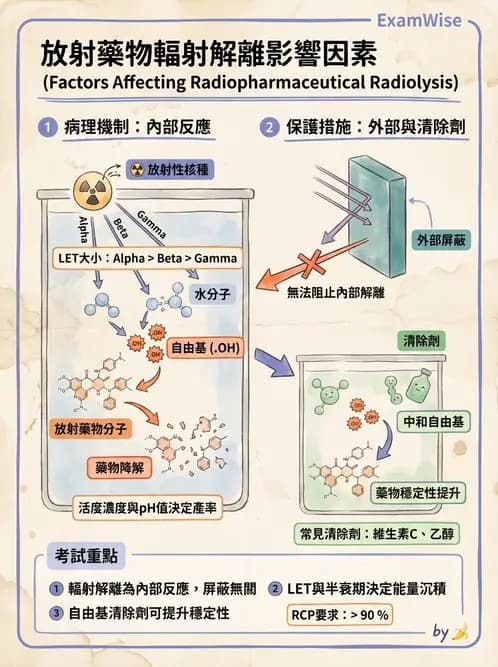 放射 - 肺肝膽與製劑通則 - AI 圖文解析預覽
