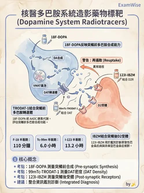 放射 - 腦部造影SPECT藥物 - AI 圖文解析預覽