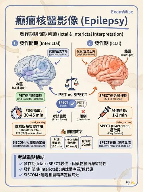 放射 - 腦部造影 - AI 圖文解析預覽