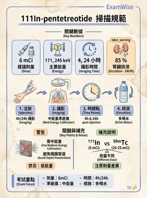 放射 - 標靶受體腫瘤造影 - AI 圖文解析預覽