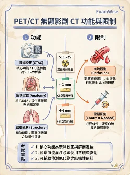 放射 - PET定量及其他 - AI 圖文解析預覽