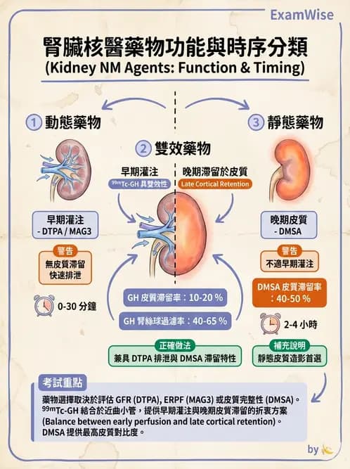 放射 - 腎臟造影SPECT藥物 - AI 圖文解析預覽