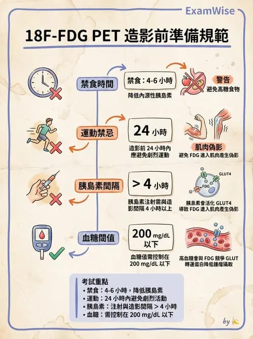 放射 - FDG PET造影 - AI 圖文解析預覽