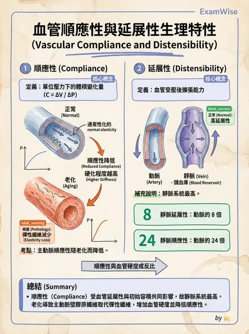 放射 - 心血管生理 - AI 圖文解析預覽