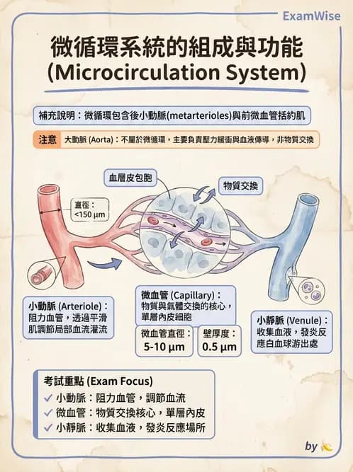 放射 - 心血管生理 - AI 圖文解析預覽