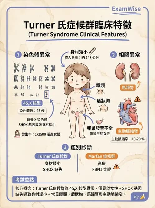 放射 - 遺傳疾病與小兒疾病 - AI 圖文解析預覽