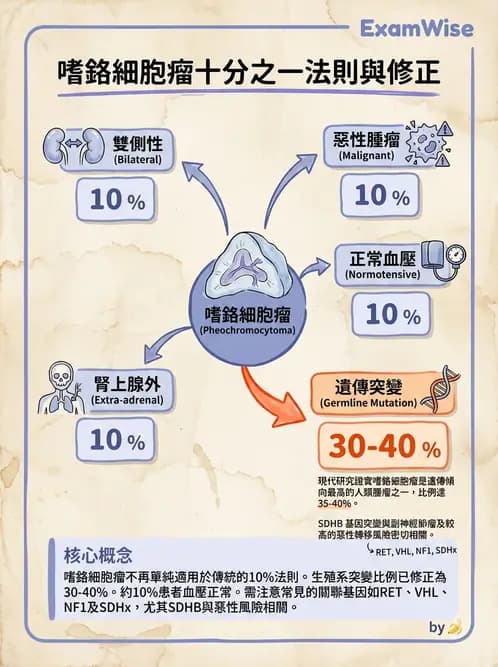 放射 - 內分泌系統疾病 - AI 圖文解析預覽