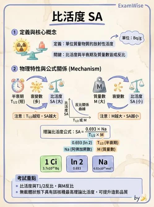放射 - 放射性活度與衰變計算 - AI 圖文解析預覽