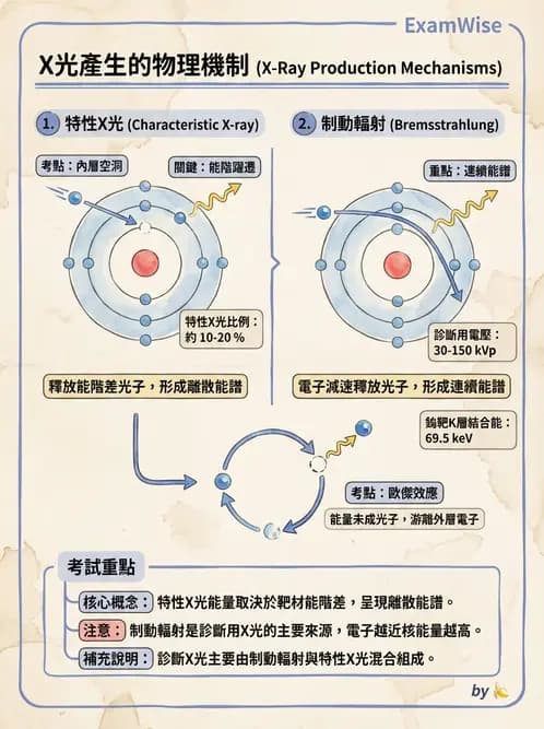 放射 - 光子作用機制 - AI 圖文解析預覽