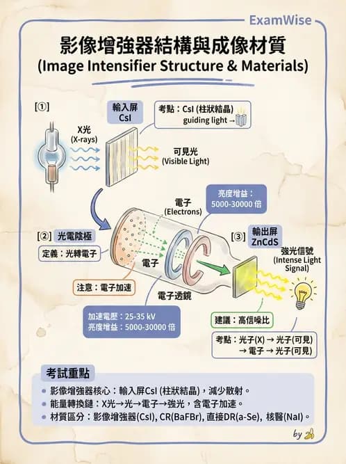 放射 - 透視與數位影像 - AI 圖文解析預覽