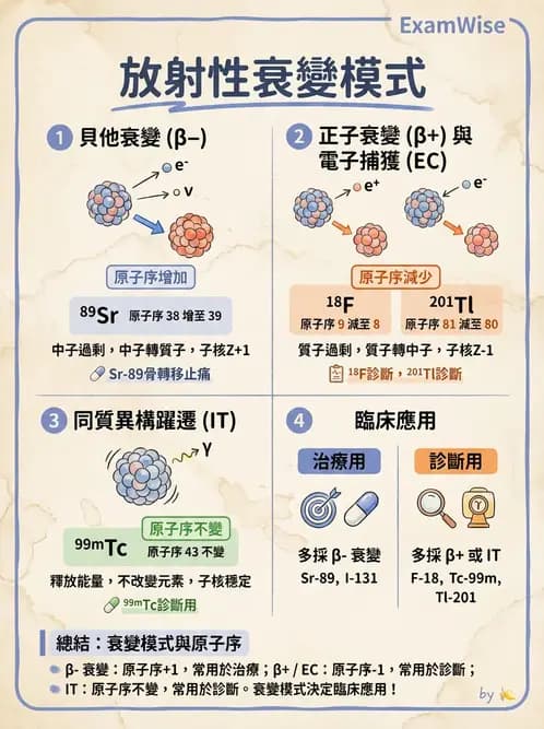放射 - 放射性蛻變模式 - AI 圖文解析預覽