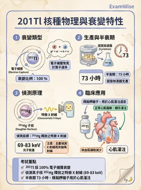 放射 - 放射性蛻變模式 - AI 圖文解析預覽