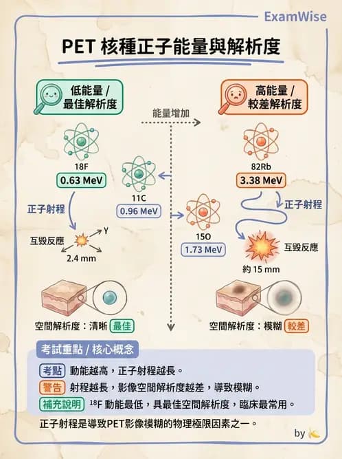 放射 - 核子醫學物理 - AI 圖文解析預覽