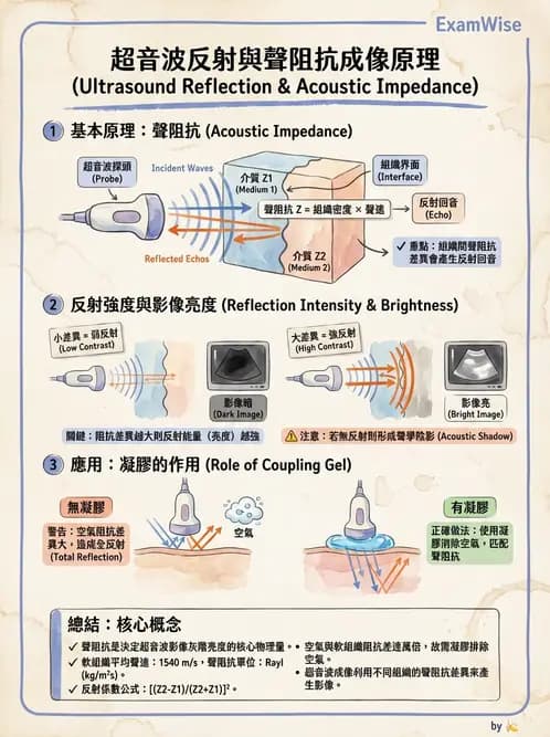 放射 - 超音波物理與換能器 - AI 圖文解析預覽