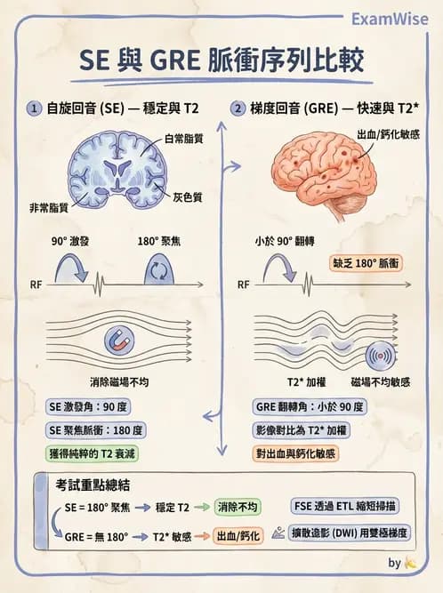 放射 - 脈衝序列與影像對比 - AI 圖文解析預覽