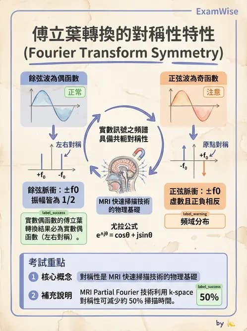 放射 - 空間編碼與影像品質 - AI 圖文解析預覽