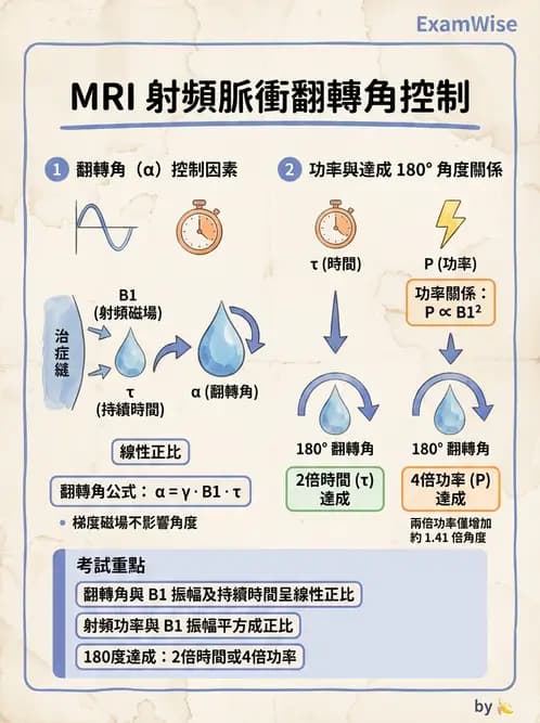 放射 - MRI基本物理與弛緩 - AI 圖文解析預覽