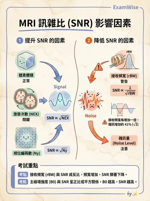 放射 - 空間編碼與影像品質 - AI 圖文解析預覽