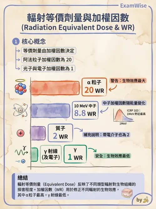 放射 - 輻射防護劑量量 - AI 圖文解析預覽