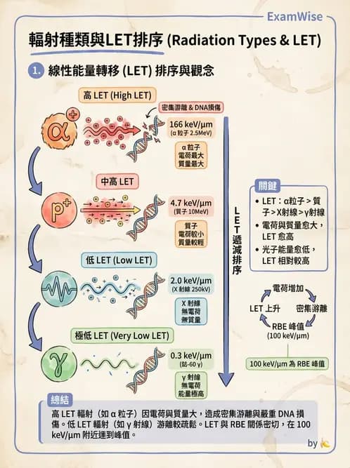 放射 - 輻射物理生物基礎 - AI 圖文解析預覽