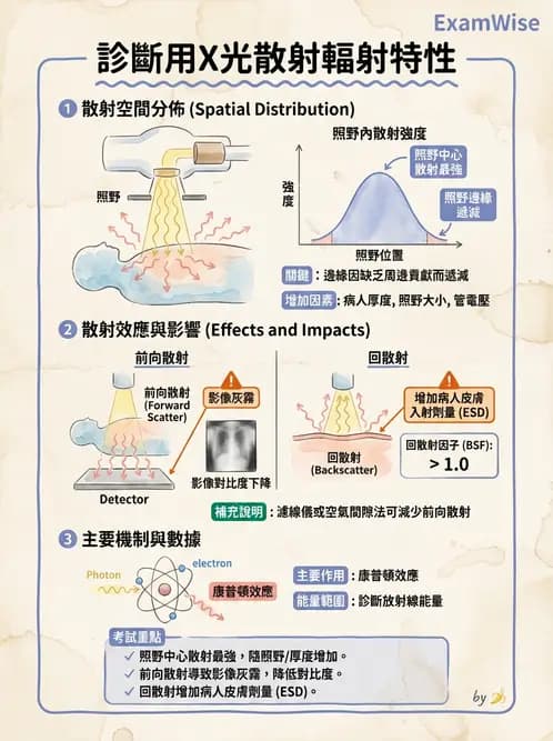 放射 - X光成像系統與影像品質 - AI 圖文解析預覽