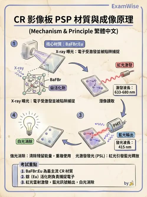 放射 - 電腦放射攝影(CR)原理與應用 - AI 圖文解析預覽