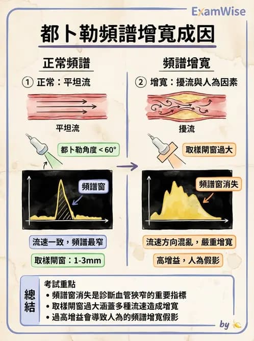 放射 - 都普勒超音波 - AI 圖文解析預覽