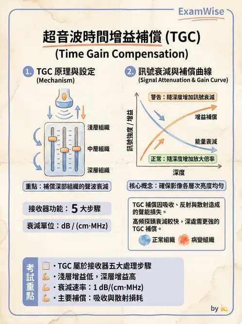 放射 - 超音波物理與系統原理 - AI 圖文解析預覽