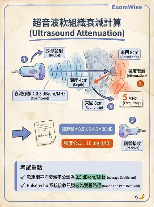 放射 - 超音波物理與系統原理 - AI 圖文解析預覽