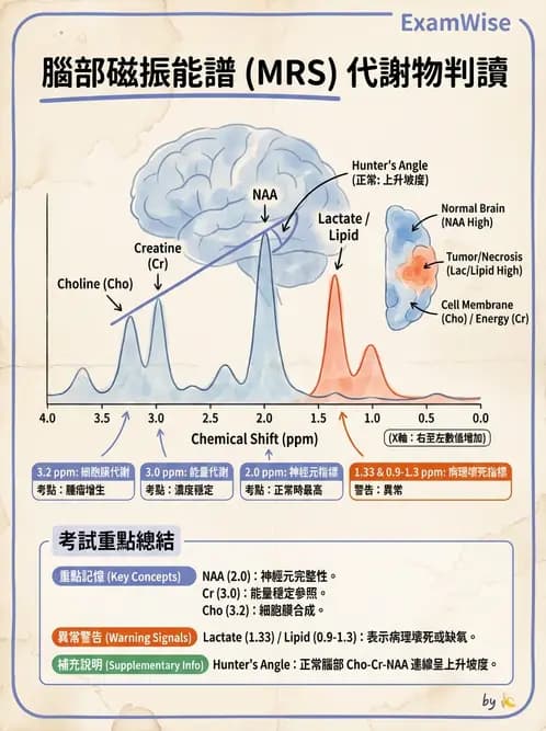 放射 - 主磁場、磁鐵類型與勻場 - AI 圖文解析預覽