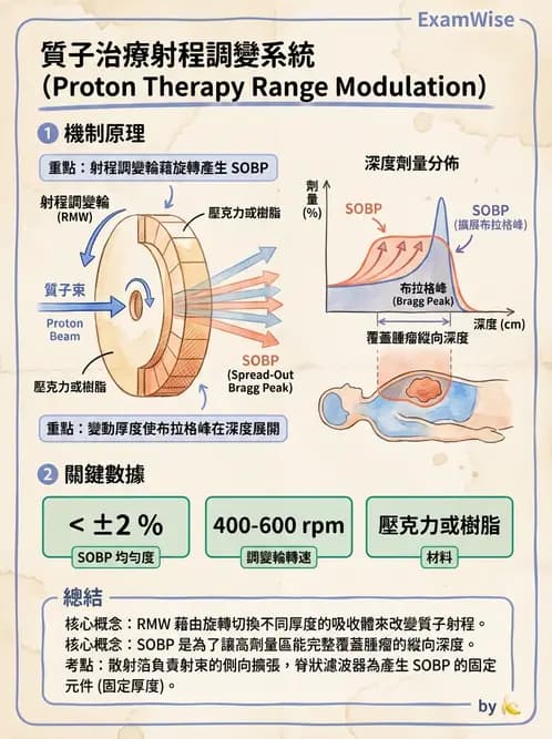 放射 - 質子及中子治療機 - AI 圖文解析預覽