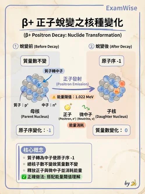 放射 - PET核種與儀器偵測原理 - AI 圖文解析預覽