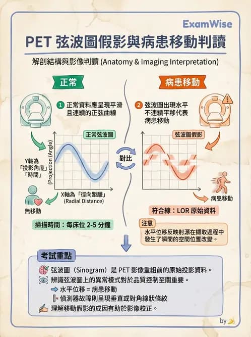 放射 - PET校正、影像重建與臨床操作 - AI 圖文解析預覽