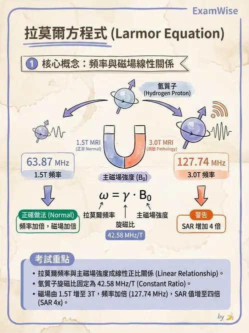 放射 - 磁振造影原理 - AI 圖文解析預覽