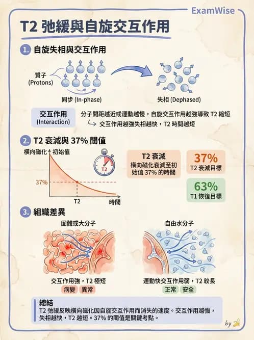 放射 - 磁振造影原理 - AI 圖文解析預覽