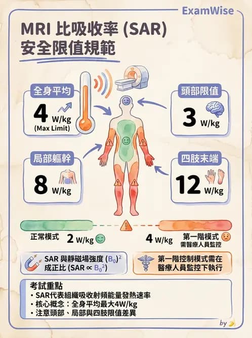 放射 - MRI安全與顯影劑 - AI 圖文解析預覽