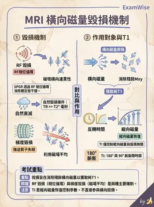 放射 - MRI脈衝序列與訊號技術 - AI 圖文解析預覽