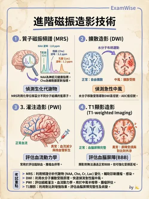放射 - MRI脈衝序列與訊號技術 - AI 圖文解析預覽