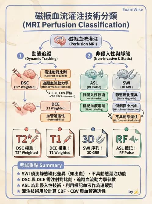 放射 - MR進階影像與臨床應用 - AI 圖文解析預覽